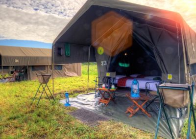 Ngorongoro and Serengeti Safari