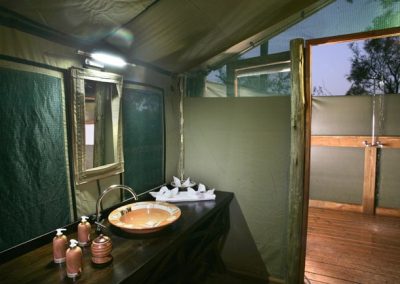 Chobe and Okavango Delta Safari