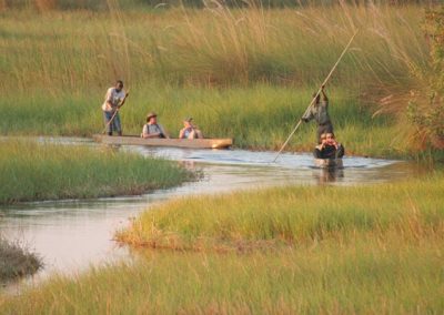Chobe and Okavango Delta Safari