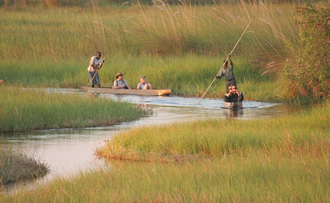 Chobe and Okavango Delta Safari Chobe and Okavango Delta Safari