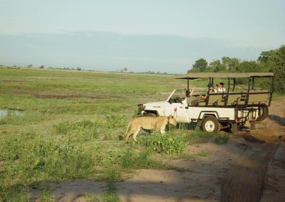 Chobe and Okavango Delta Safari