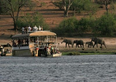 Chobe and Okavango Delta Safari