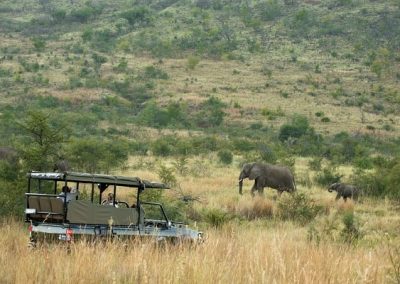 Pilanesberg and Sun City Tour