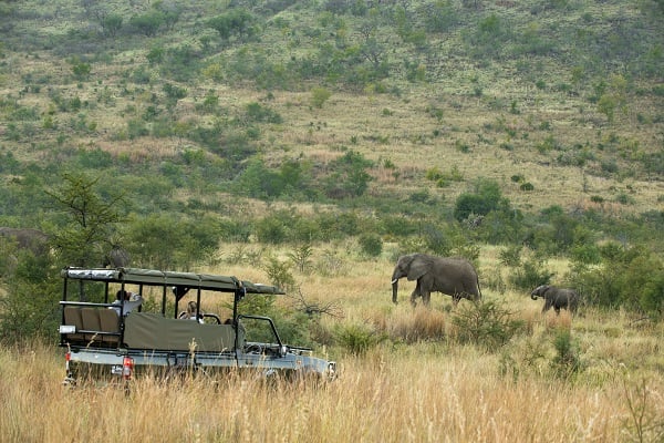 Pilanesberg and Sun City Tour Pilanesberg and Sun City Tour