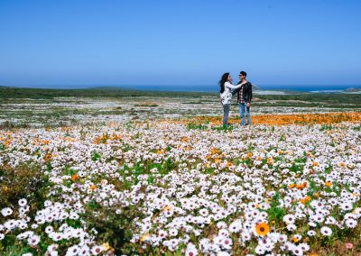 Cape Town Holiday Package