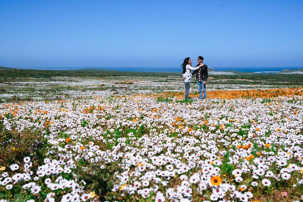 Cape Town Holiday Package Cape Town Holiday Package