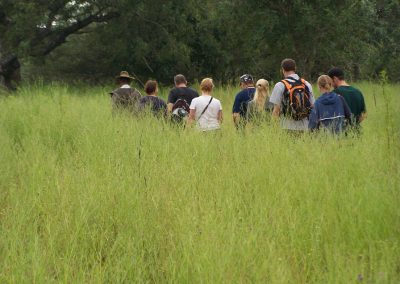 Kruger and Cape Town Tour