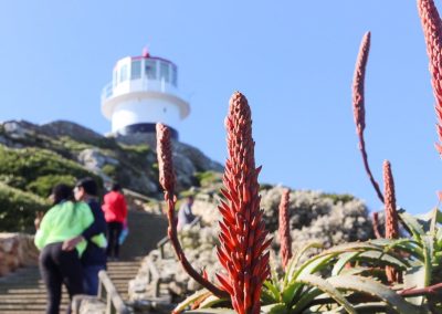 Kruger and Cape Town Tour