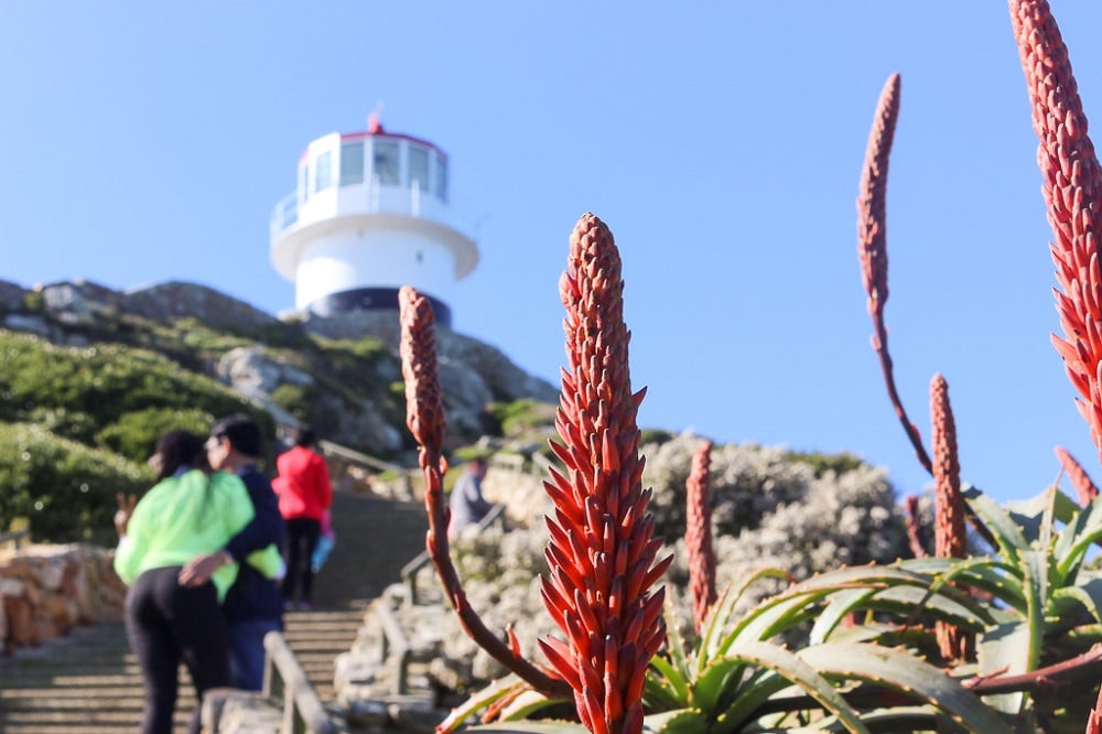 Cape Town Holiday Package Cape Town Holiday Package