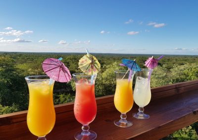 Kruger and Cape Town Tour