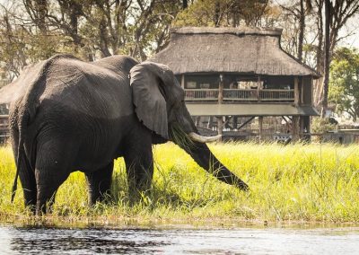Chobe and Okavango Delta Safari
