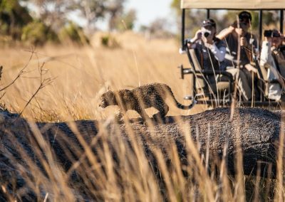 Pom Pom Camp Okavango Delta Safari