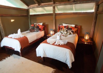 Chobe and Okavango Delta Safari