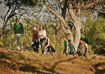 Pom Pom Camp Okavango Delta Safari
