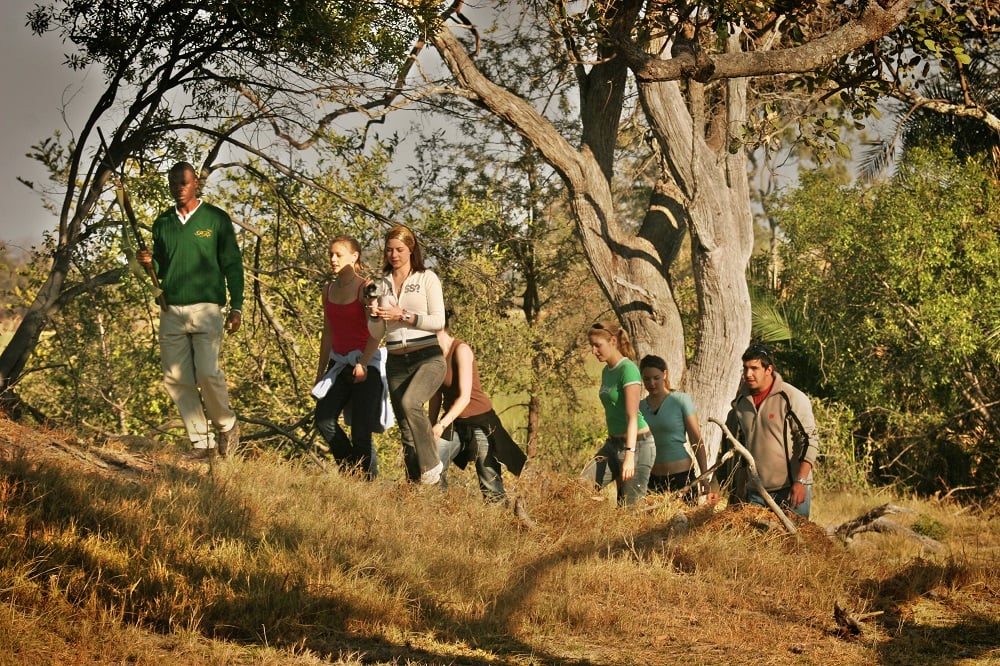 Pom Pom Camp Okavango Delta Safari Pom Pom Camp Okavango Delta Safari