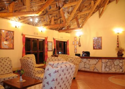 Ngorongoro and Serengeti Safari