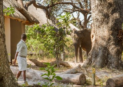 Lagoon Camp Okavango Delta Safari