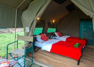 Ngorongoro and Serengeti Safari