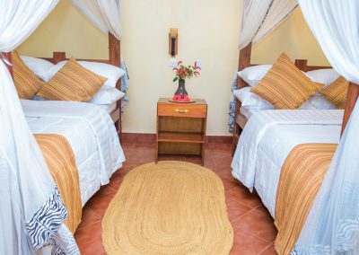 Ngorongoro and Serengeti Safari