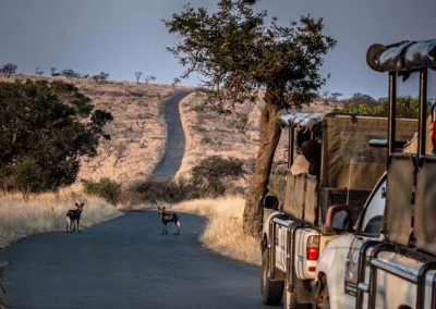 Kruger and Cape Town Tour