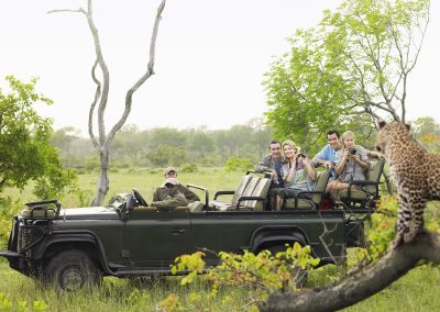 Kruger and Cape Town Tour