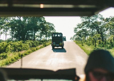 Pilanesberg and Sun City Tour