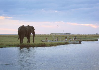 Chobe and Okavango Delta Safari