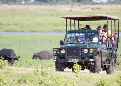 Chobe and Okavango Delta Safari