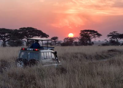 6 Day Ngorongoro and Serengeti Safari