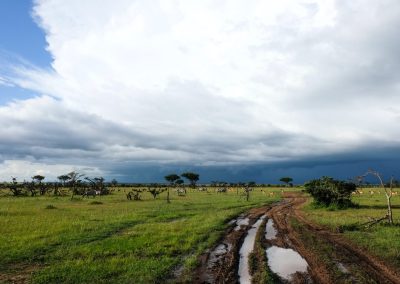 Masai Mara and Amboseli Safari