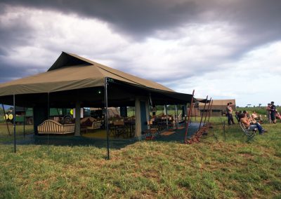 Ngorongoro and Serengeti Safari