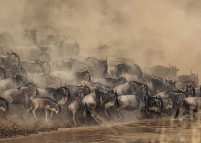 Masai Mara and Amboseli Safari