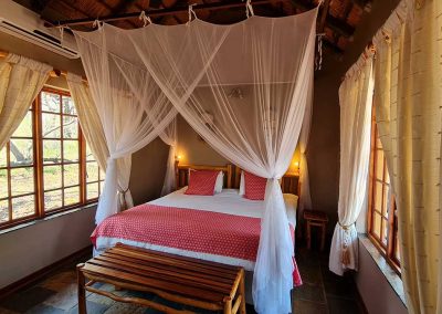 Kruger and Cape Town Tour