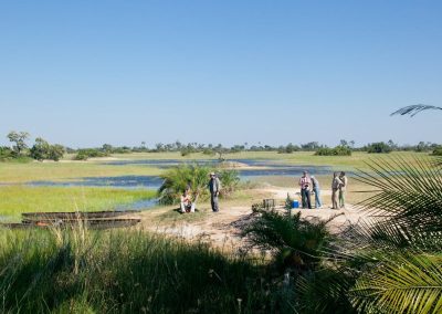 Pom Pom Camp Okavango Delta Safari