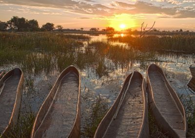 Pom Pom Camp Okavango Delta Safari