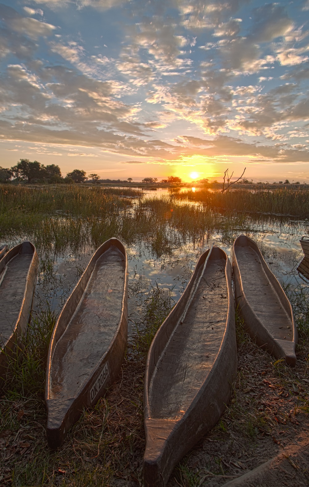 Pom Pom Camp Okavango Delta Safari Pom Pom Camp Okavango Delta Safari